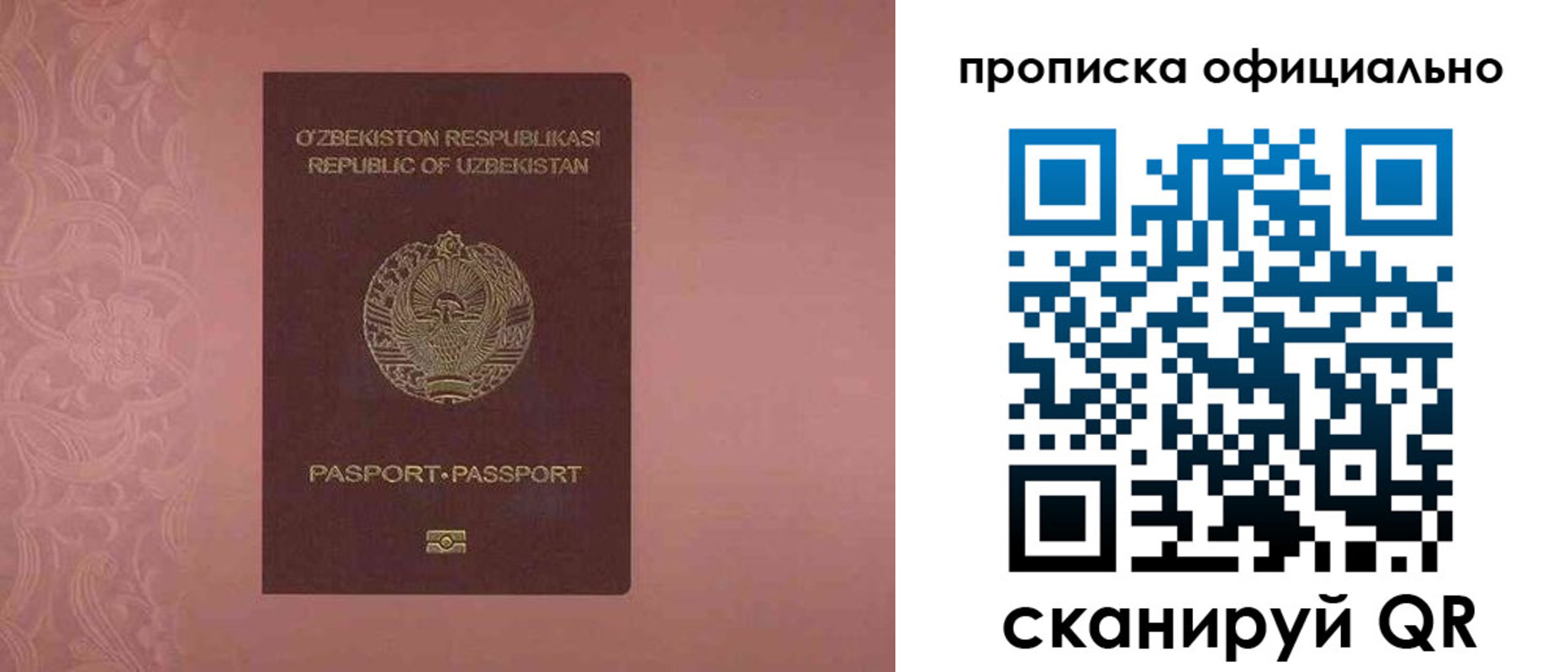 прописка гарантия в Оленегорске